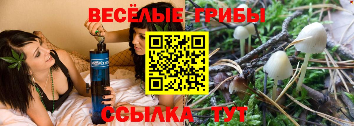 Галлюциногенные грибы Magic Shrooms Бахчисарай