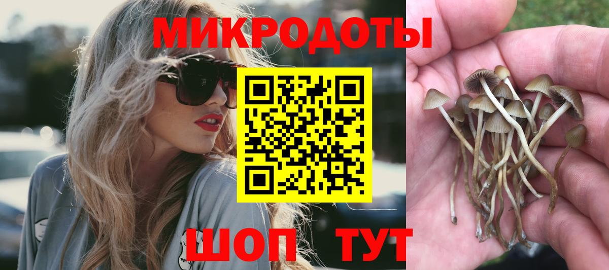 Галлюциногенные грибы Magic Shrooms  цена   Бахчисарай  Псилоцибиновые грибы прущие грибы  Вход с VPN 
